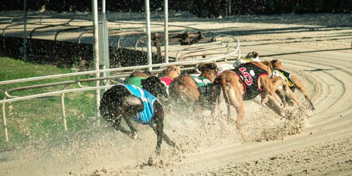 Entain, 사랑받는 Crayford Racing Track 곡 계획